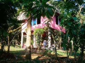 Vanilla Jungle Lodge - Rainforest Waterfall Garden